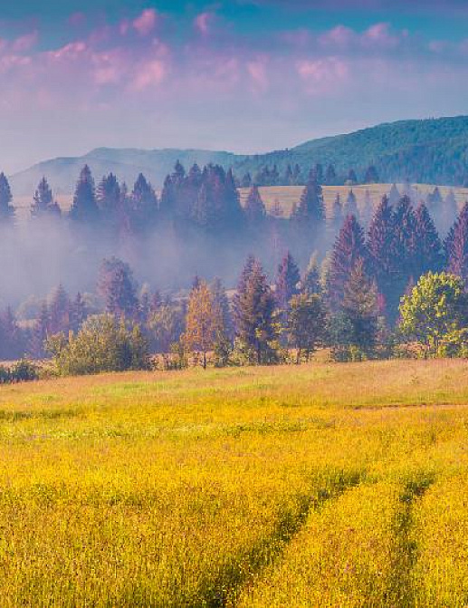 Панно и фотообои Affresco Фрески и фотообои ID13452