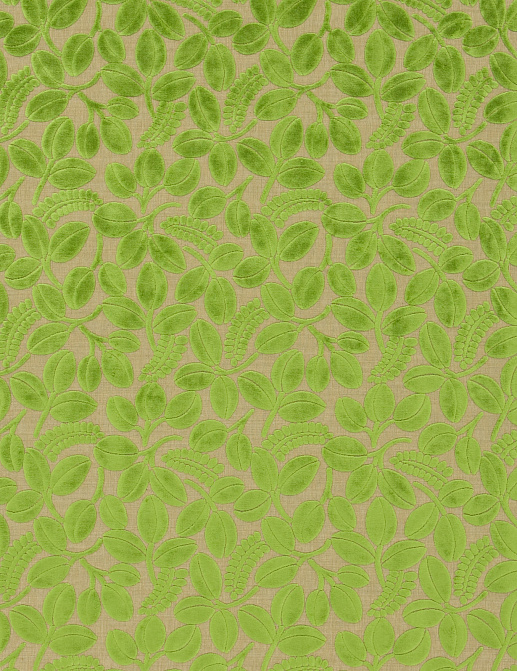 Ткань Designers Guild Savio F2105/02