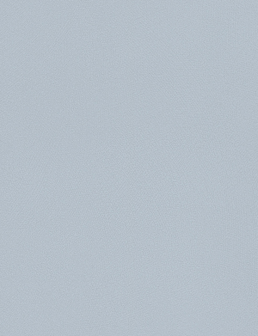 Обои Rasch Blue Velvet 610147