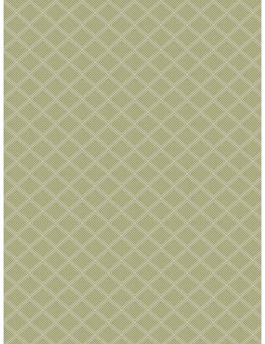 Ткань Fabricut Chromatics Vol.XXVI Succulent GorvyDiamond/Lime