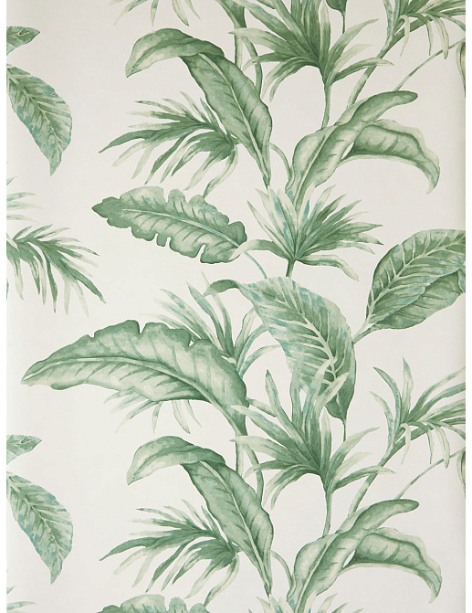Обои Trend Jaclyn Smith Home 30026W/02