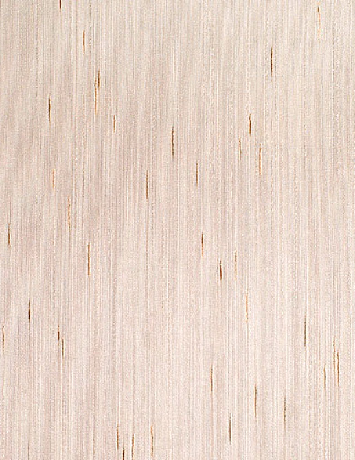 Обои Sangiorgio Texwall Line - Living TL51