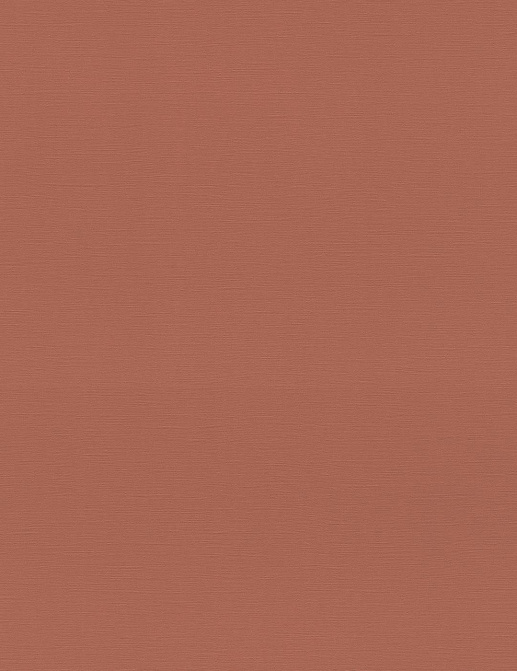 Обои Rasch Allegretto 692730