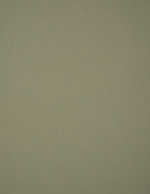 Ткань Дом Caro Solids/3983