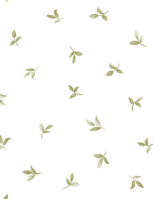 Обои Aura English Florals G34343