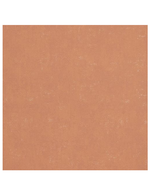 Обои BN International Indian Summer 218545