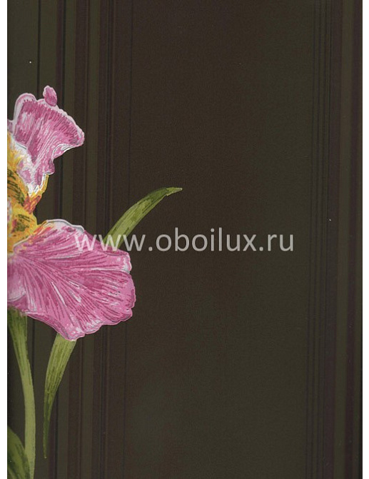 Обои York Antonina Vella - Botanica VB6741