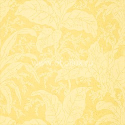 Обои Thibaut Jacaranda T8159