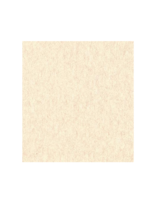 Обои Aura Texture World H2991702