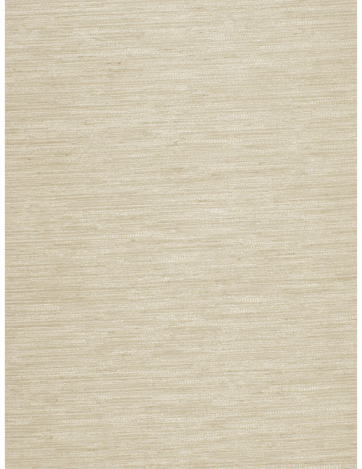 Ткань Trend Silky Solids Drapery 02840/Grey