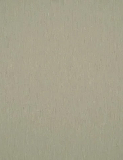 Ткань Дом Caro Solids/P055
