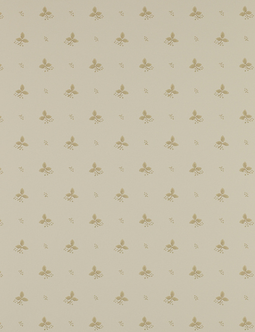 Обои Colefax and Fowler Small Designs 07406-01