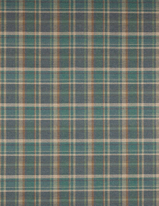 Ткань Colefax and Fowler Magnus Checks F4721/05
