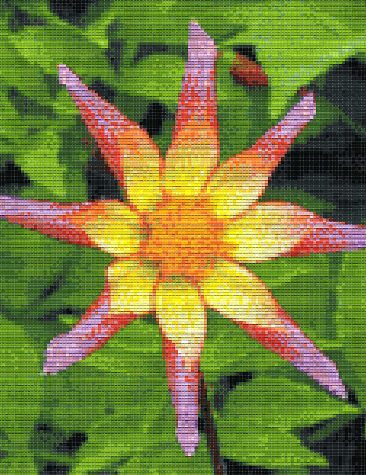 Обои Mozzle Floral MZ00516-001