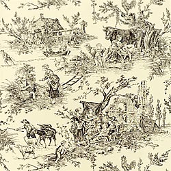 Ткань Thibaut Toile Resource II F99704