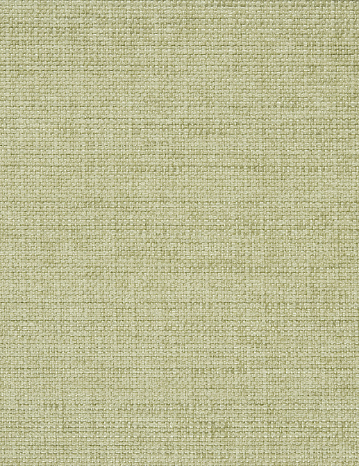 Ткань Designers Guild Morvern F2021/08