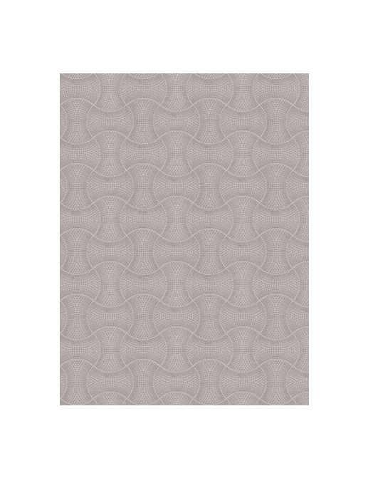Ткань Fabricut Chromatics Vol.XXIV Shale Stop and go/Silver