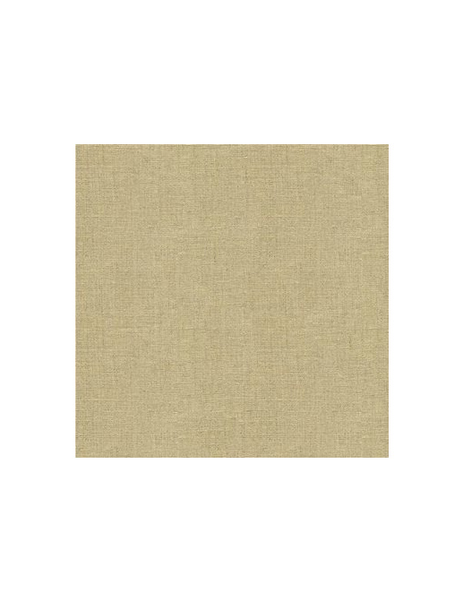 Ткань Kravet Embellished Linen 33825/106