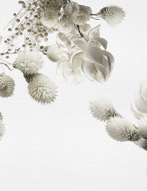 Панно и фотообои Inkiostro Bianco Story 2013/2019 Collections INKZPUO1801