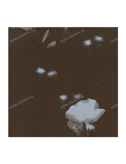 Обои Elitis Sixdesigns TP14002