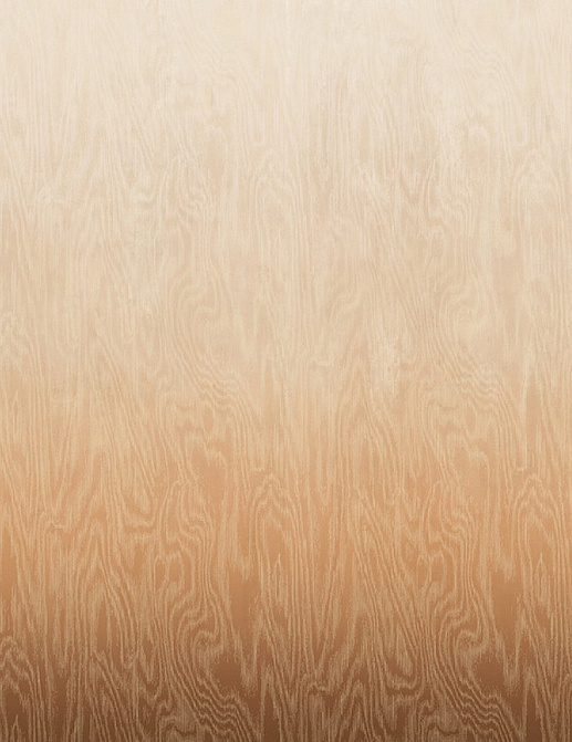 Обои Khroma Wall Designs IV DG4MOI1041-300