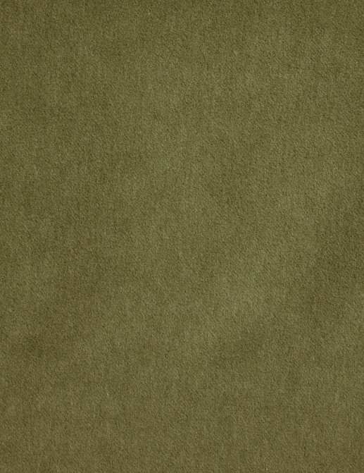 Ткань KAI Savona Savona/Olive