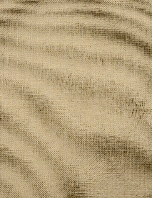 Ткань Jim Thompson Raffia Weaves JT013920002