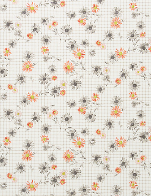 Ткань Designers Guild Country F1919/04