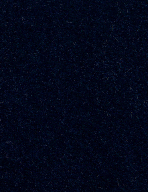 Ткань Aldeco Amadeo Siege Velvet/0668