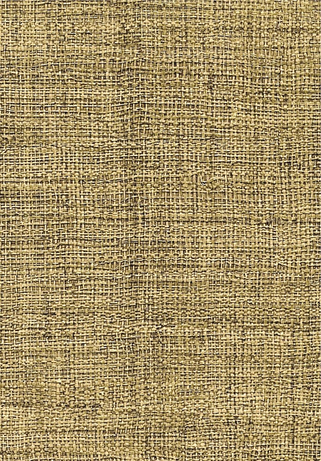 Обои Elitis Madagascar Arrowroot Raw Raffia VP73140