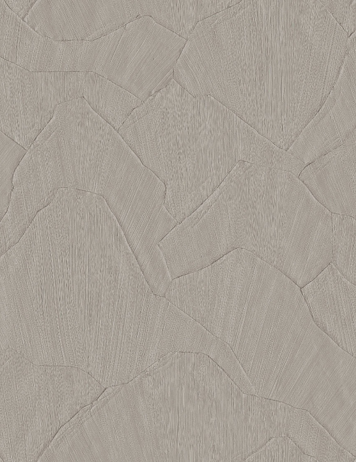 Обои Arte Textura Ignis 42507A