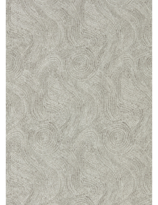 Обои Zoffany Phaedra 312596