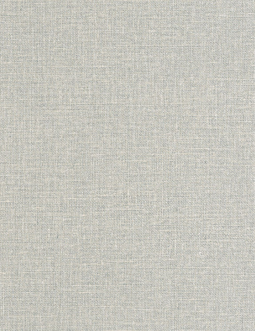 Обои Caselio Jute JTE104017120