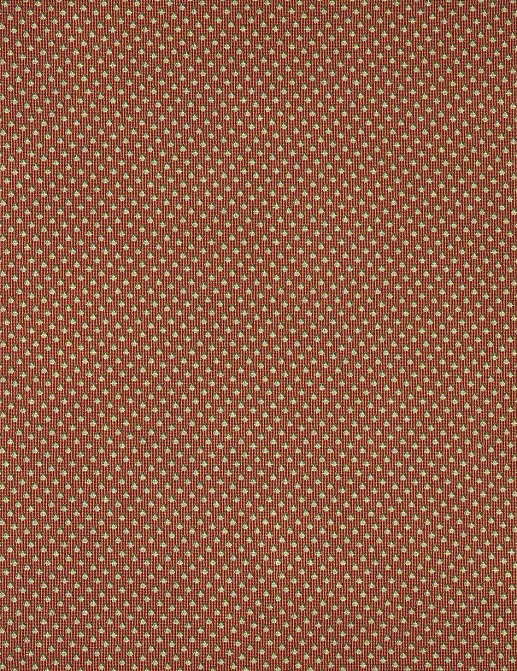 Ткань Braquenie Montresor B7663005
