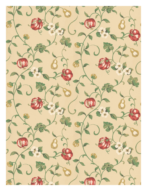 Обои Sanderson Wallpapers from a Painters Garden DAPGPO102