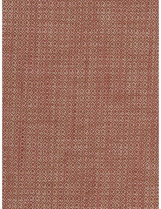 Ткань Fabricut Chromatics Vol.XXV Coral Palindrome/Cayenne