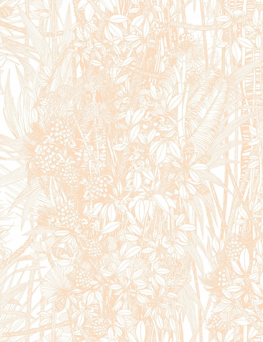 Обои Pierre Frey Jungle FP402003