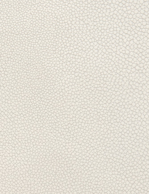 Ткань Holly Hunt Holly Hunt Leather 6000/76