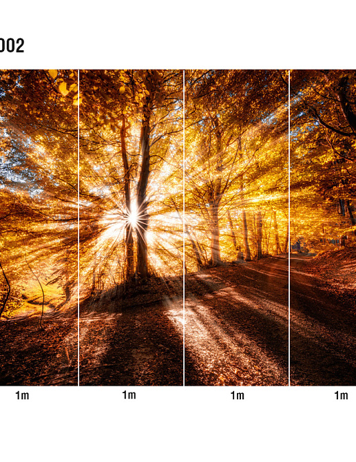 Панно и фотообои Loymina Illusion DF-002