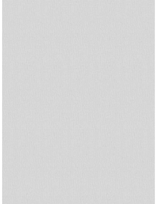 Ткань Fabricut Natural Layers Multipurpose Fog Pumpelly/White