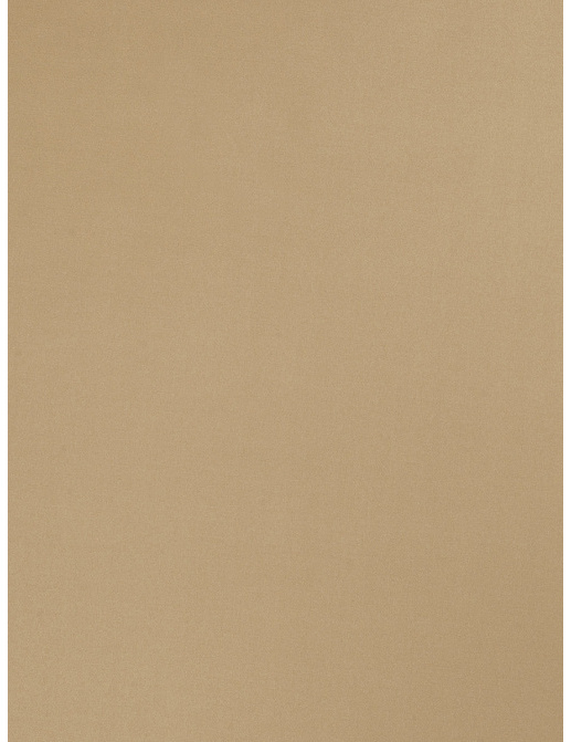 Ткань Trend Multipurpose Sleek Satin Vol.II 02022/Khaki