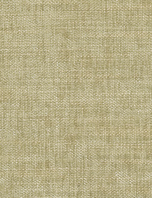 Ткань Designers Guild Bilbao F1560/21