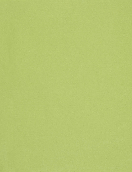 Ткань Designers Guild Cara FT1977/16