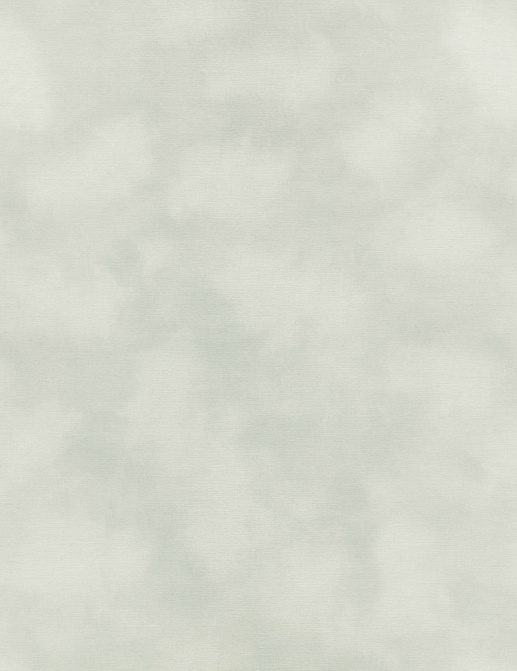 Обои Kirkby Design Wallcoverings vol.1 WK818/01