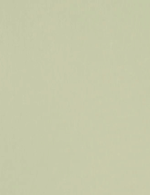 Ткань Designers Guild Brenan F1632/04