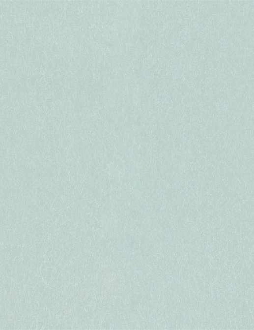Обои Designers Guild Edit Plains and Textures II P502-63