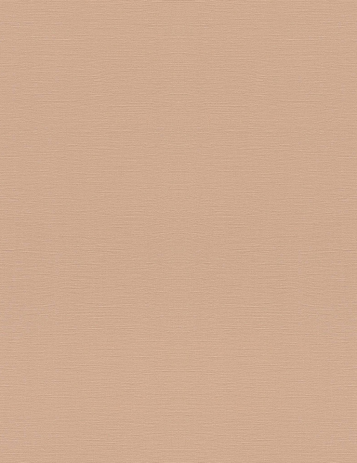 Обои Rasch Topical House 687576