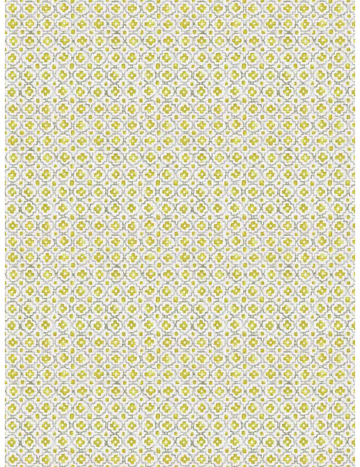 Ткань Trend Echo Citrus/Coral 05136/Citrus