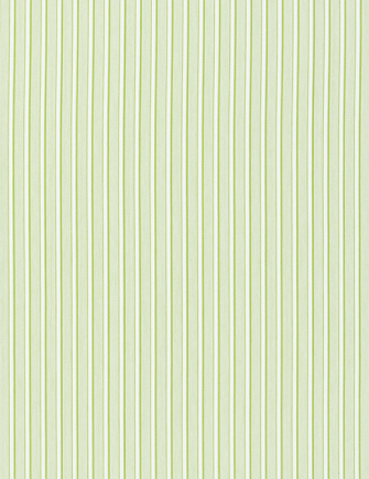 Ткань Designers Guild Tickings F1909/04