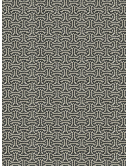 Ткань Fabricut Vignettes Vol.XVI Graphite Dubbing /Flint